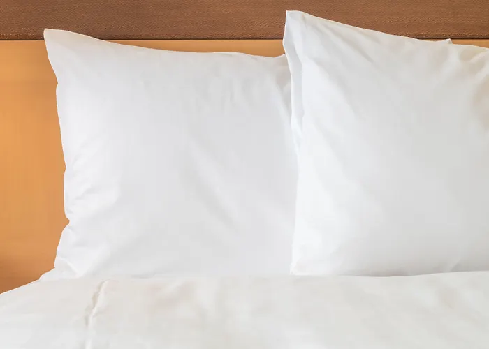 Hotel Saint-Laurent Montreal